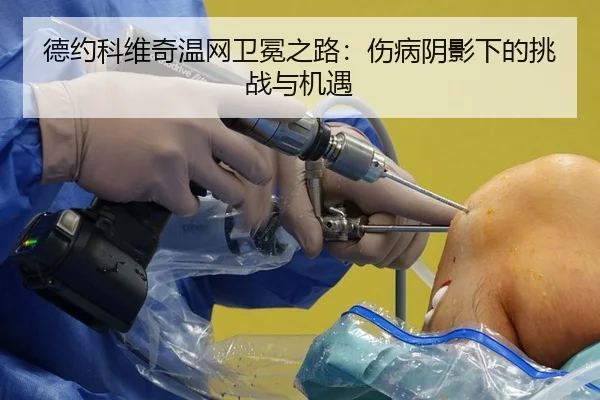 德约科维奇温网卫冕之路：伤病阴影下的挑战与机遇